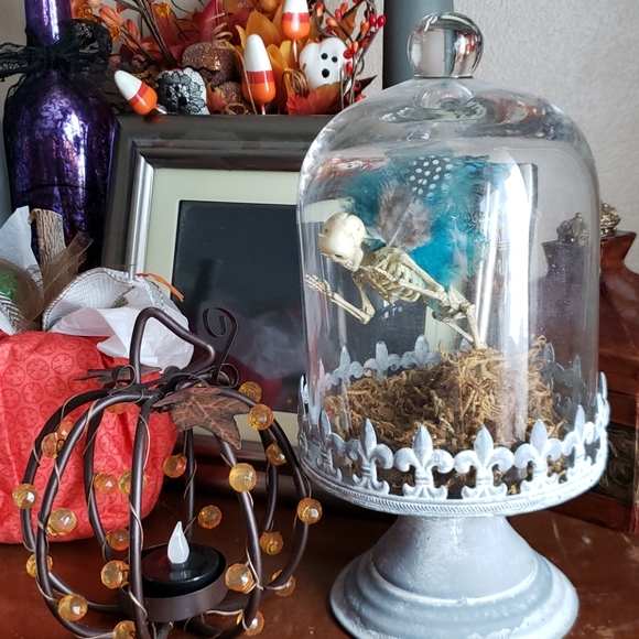 Meet your Posher, Meg - Picture 1 of 2